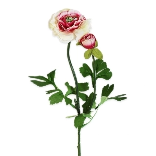Ranunculus textil 8,5/56cm růžová/bílá