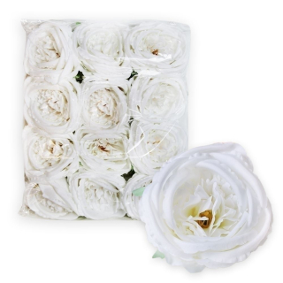 Růže hlava 12ks/11cm bílá