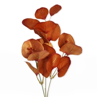 Eucalyptus větev umělá 36cm hnědá