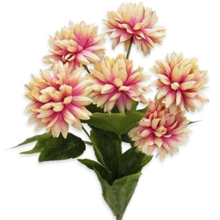 Chryzanthéma kytice x6/8,5/60cm šampáň-fialová