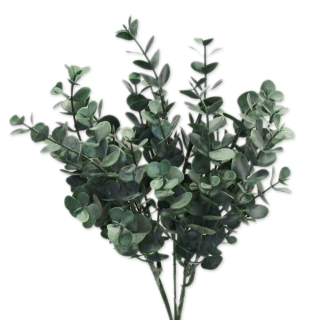 Eucalyptus keřík 35cm zelená