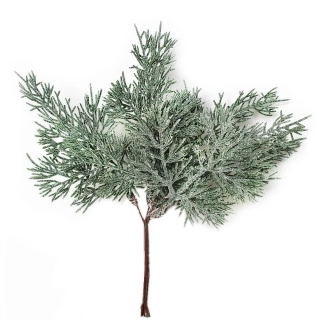 Cypřiš zápich pvc x6/21cm