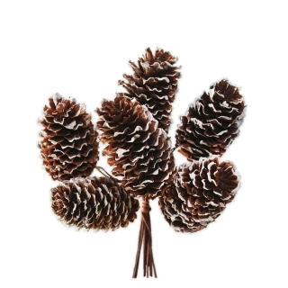 Šišky natural zápich 11cm bílá patina