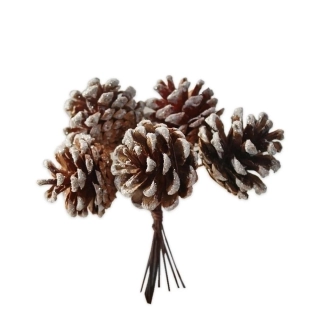 Šišky natural zápich 11cm bílé třpytky