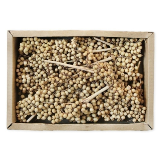 Canella Special Natural 17 ks