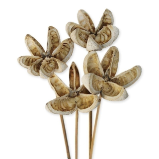 Bullet Flower 4ks/50cm white wash
