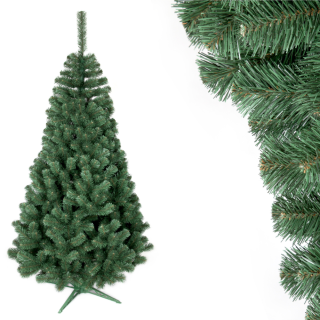 Jedle úzká 180cm