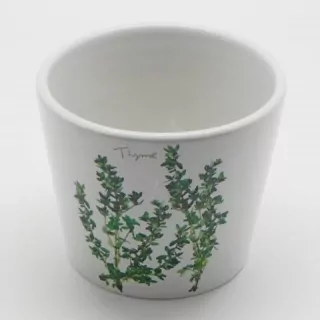 Obal tymián keramika bílo/zelená
