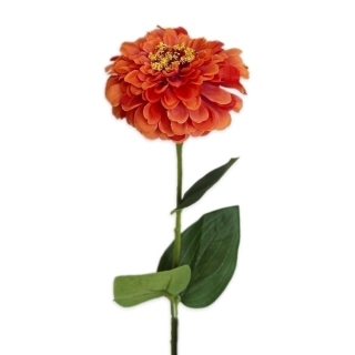 Cínie 58cm tm.oranž