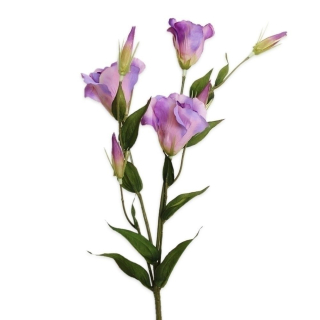 Eustoma 78cm lila