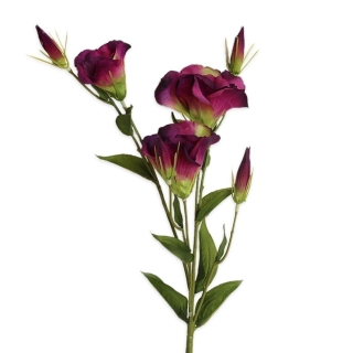 Eustoma 78cm tm.fialová
