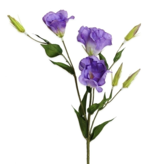 Eustoma 78cm fialová