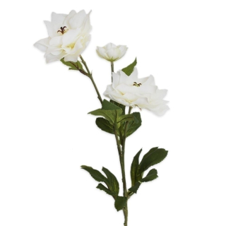 Hibiscus x3/66cm bílá