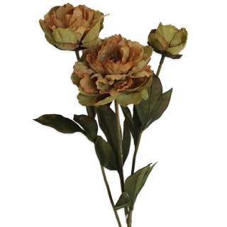 Pivoňky x3/53cm zelená