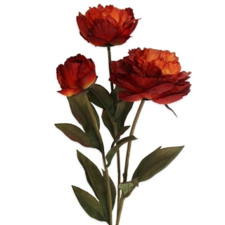Pivoňky x3/53cm tm.oranž