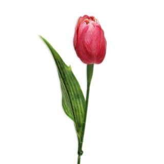 Tulipán plast 41cm růžová
