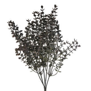 Eucalyptus keřík 36cm tm.šedá