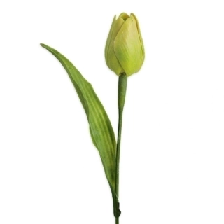 Tulipán plast 41cm sv.zelená