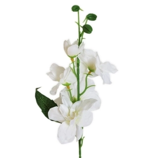 Delphinium 42cm bílá