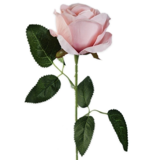 Růže na stonku 51cm sv.růžová