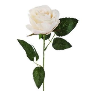 Růže na stonku 51cm krém/růžová