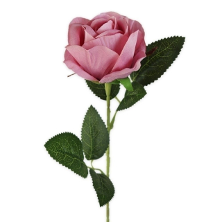 Růže na stonku 51cm růžová
