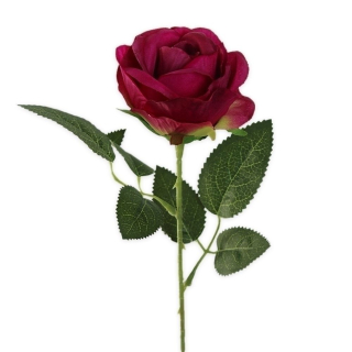 Růže na stonku 51cm fuchsia