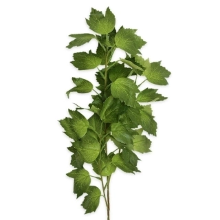 Zeleň větev 66cm