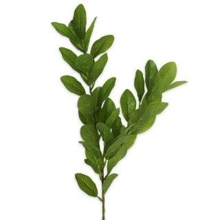 Citroník větev 68cm