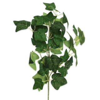 Břečťan větev 63cm