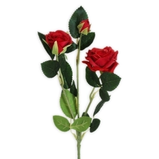 Růže trsová větev x3/38cm červená
