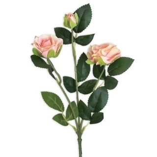 Růže trsová větev x3/38cm růžová