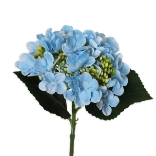 Hortenzie pr.15V43cm sv.modrá