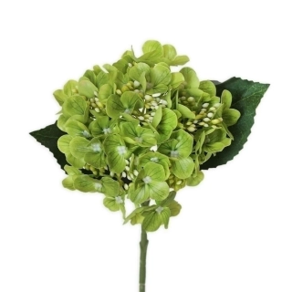 Hortenzie pr.15V43cm tm.zelená
