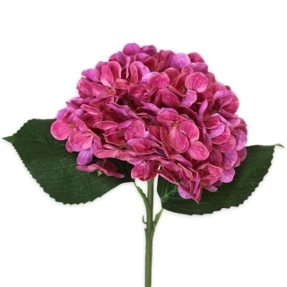 Hortenzie pr.15V43cm  tm.růžová
