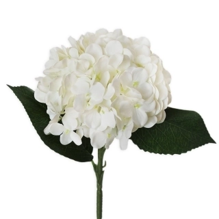 Hortenzie pr.15V43cm  krém