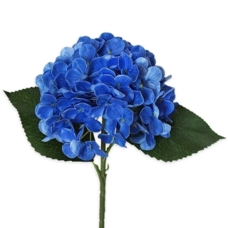Hortenzie pr.15V43cm  modrá
