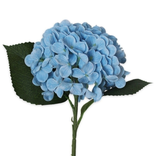 Hortenzie pr.15V43cm  sv.modrá