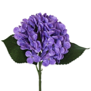 Hortenzie pr.15V43cm  tm.fialová