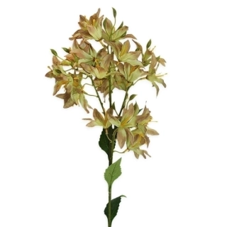 Hyacint větev x24/66cm zelená