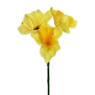 Narcis trs 35cm žlutá