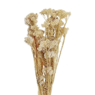 Mountain rice flower 80g bílá