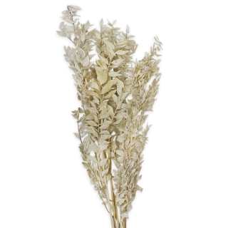Rich grass svazek 50g bílá