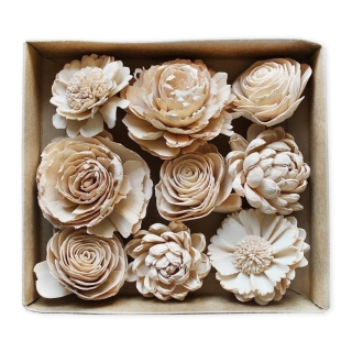 Sola květy mix box 9ks/pr.7cm krém