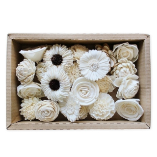 Sola květy mix box  24ks/6,5cm krém