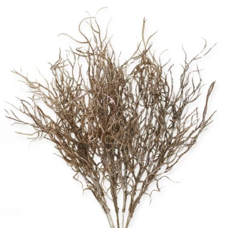 Větev proutí umělá 40cm šampáň