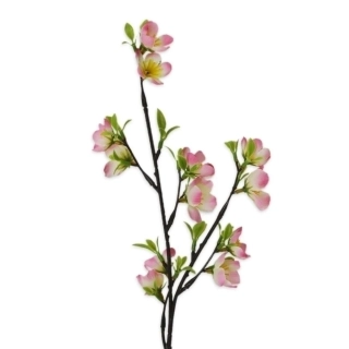 Jabloň větev 46cm