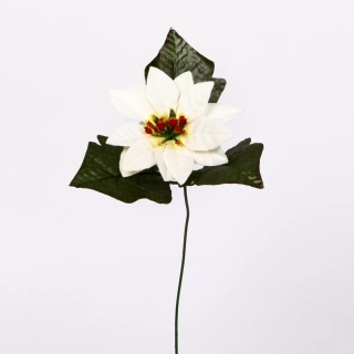 Poinsettia 1x pr.13/40cm bílá