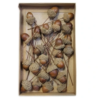 Žaludy zápich 24ks/pr.2,5/10cm