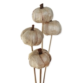 Pana Pumpkin 4cm/6/50cm Natural